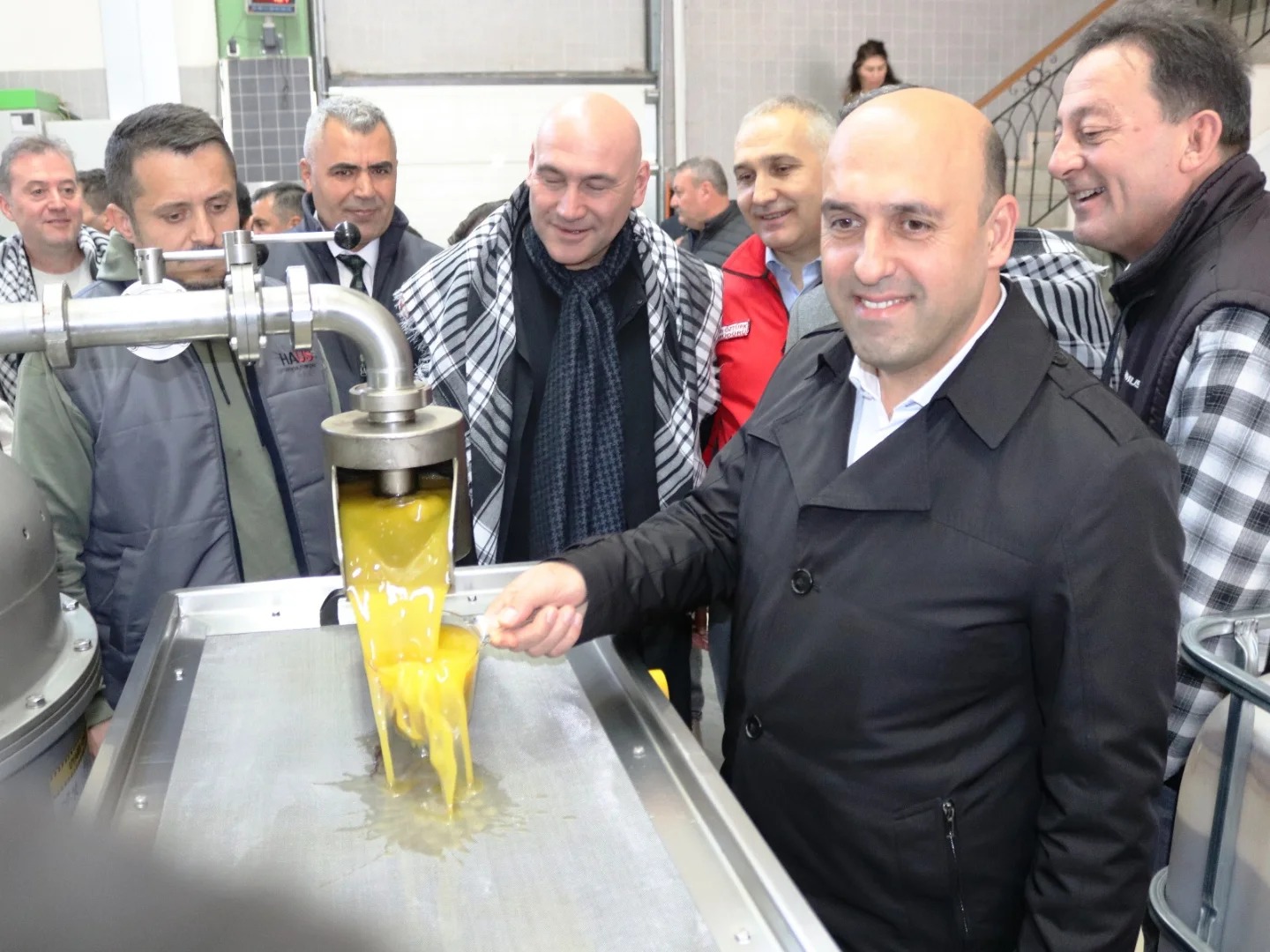 Manisa İl Tarım Müdürü Öztürk, zeytin hasadına katıldı