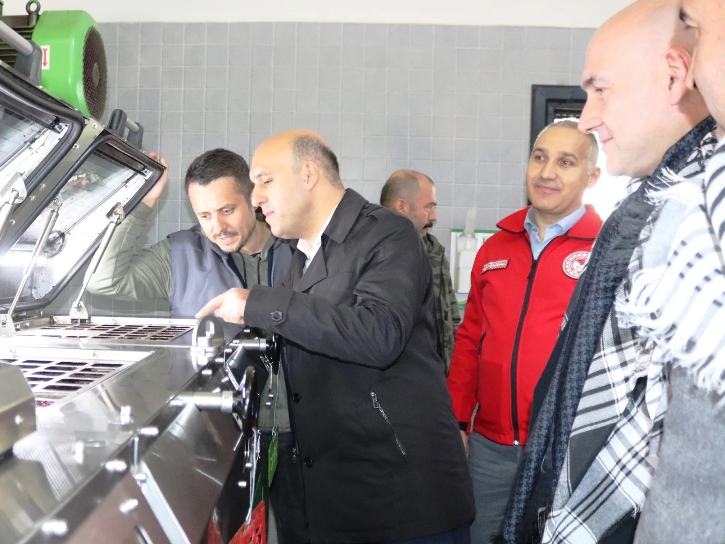 Manisa İl Tarım Müdürü Öztürk, zeytin hasadına katıldı