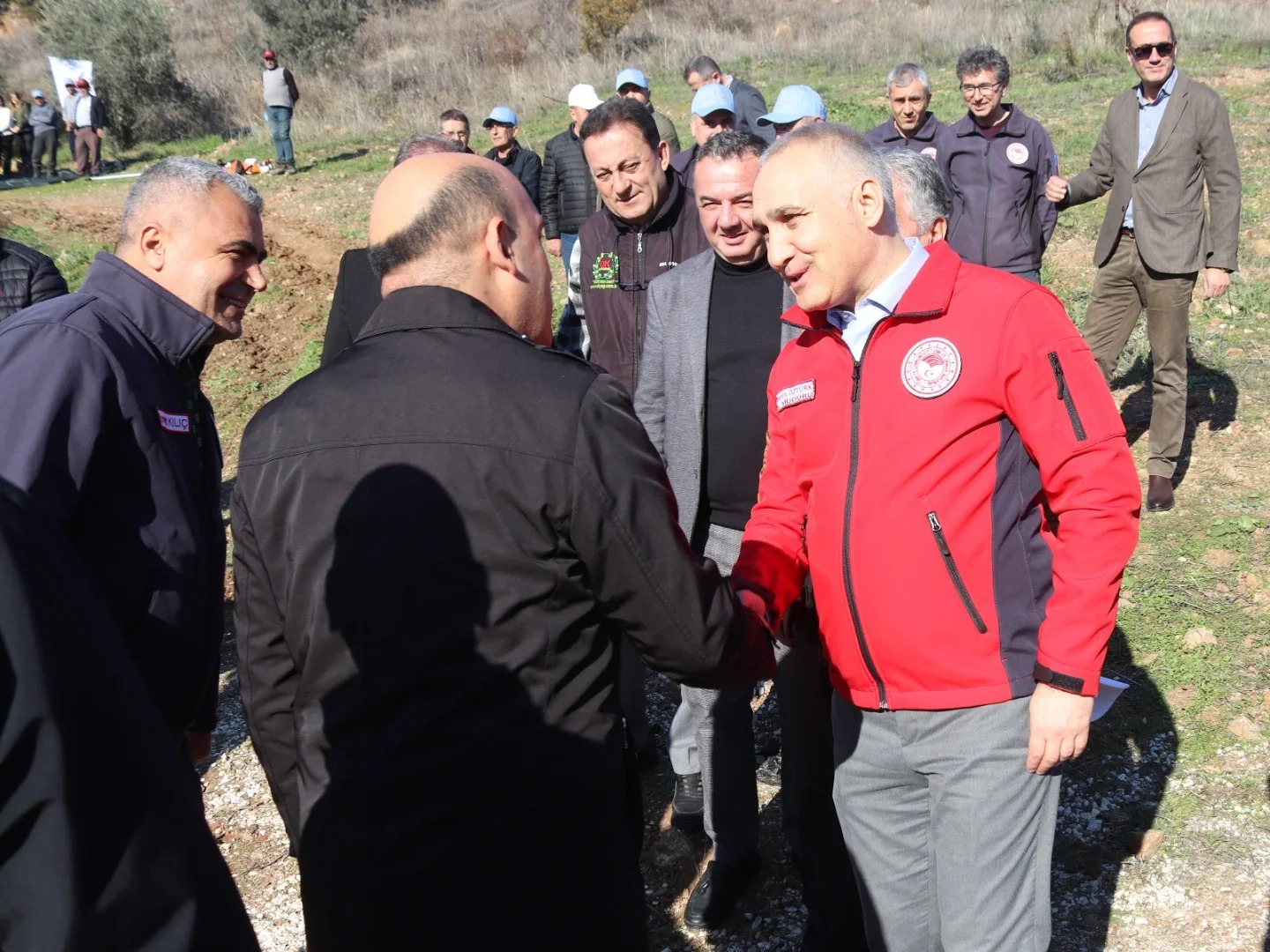 Manisa İl Tarım Müdürü Öztürk, zeytin hasadına katıldı