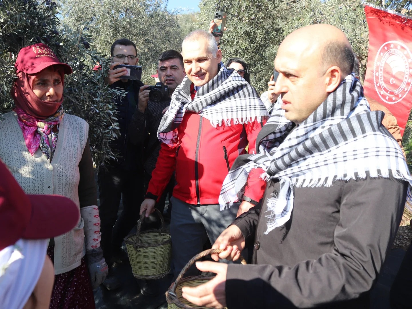 Manisa İl Tarım Müdürü Öztürk, zeytin hasadına katıldı