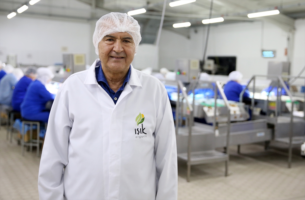 Kuru üzümde ihracat rakamları belli oldu