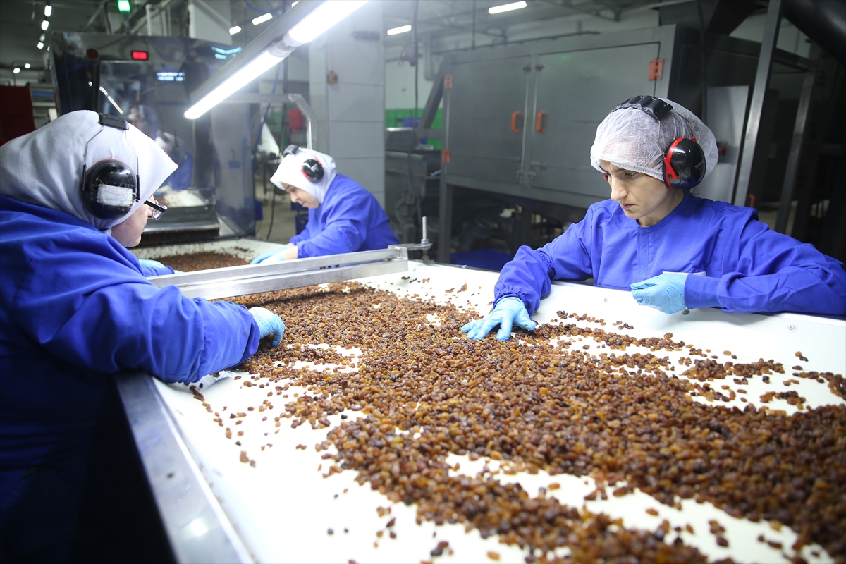 Kuru üzümde ihracat rakamları belli oldu