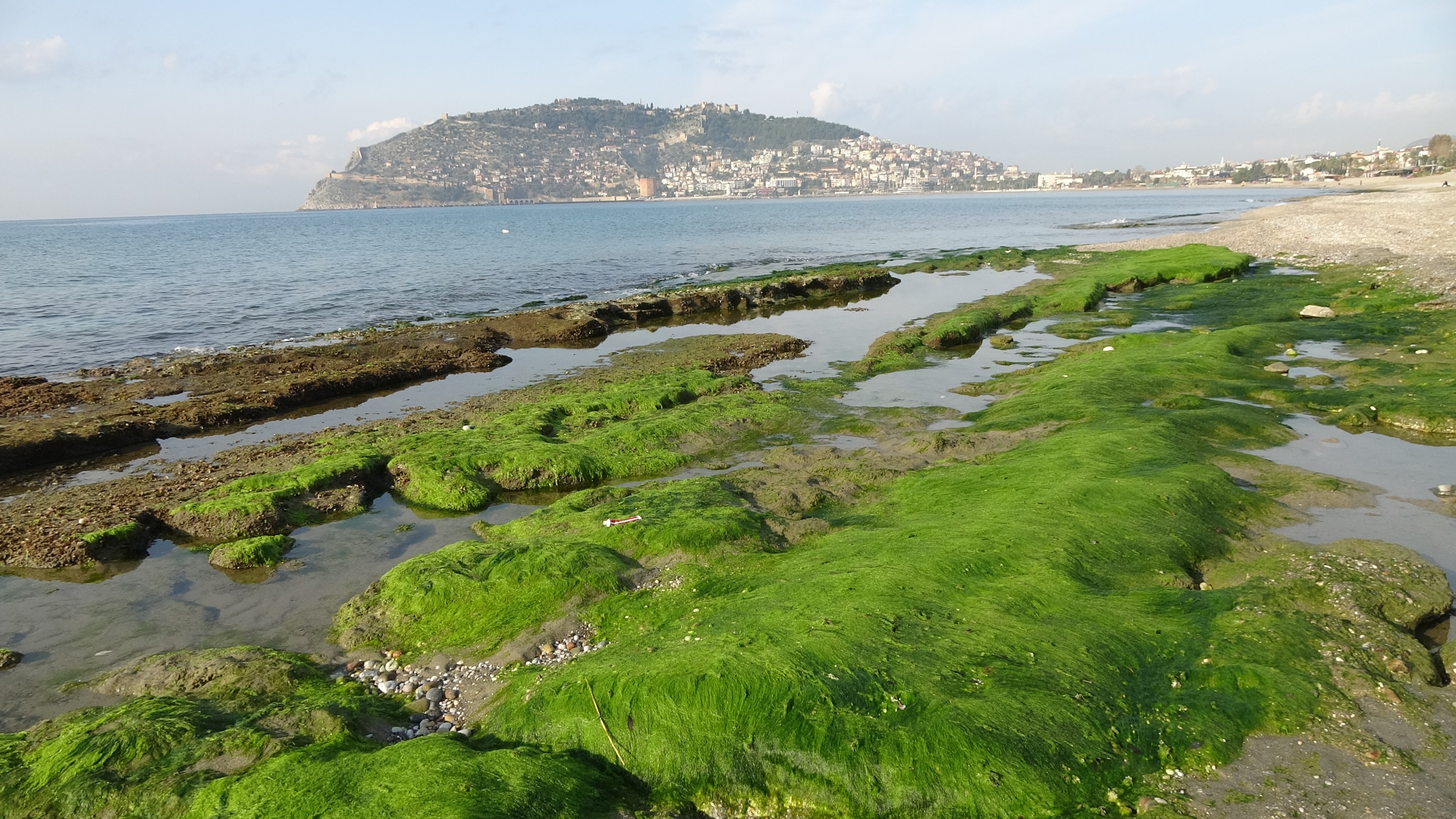 Alanya'da deniz suyu 7-8 metre çekildi