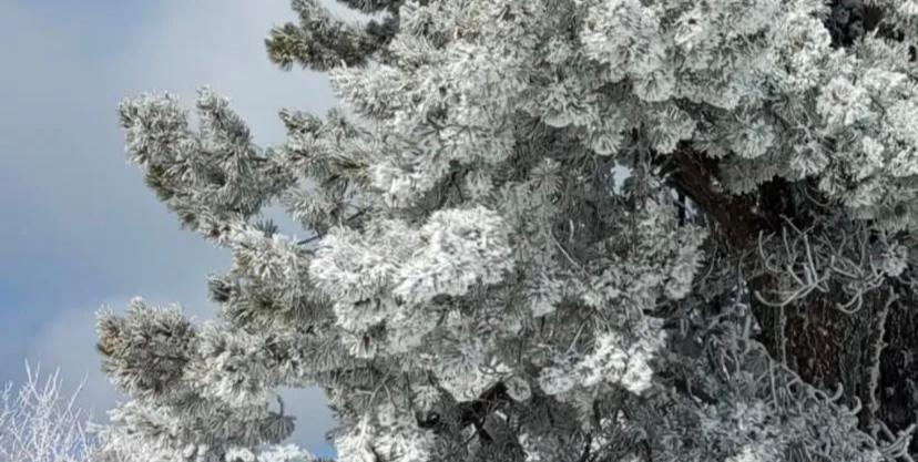 Demirci Büyük Yayla Beyaza Büründü