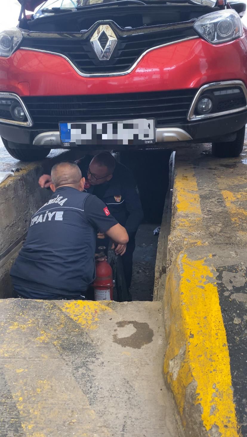 Manisa'da aracın kaputundan çıktı! Boyu bir metre...