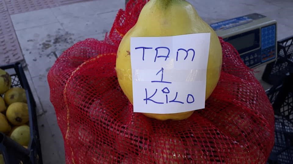 Manisa'nın O İlçesinde Limon Ayva Üretimi
