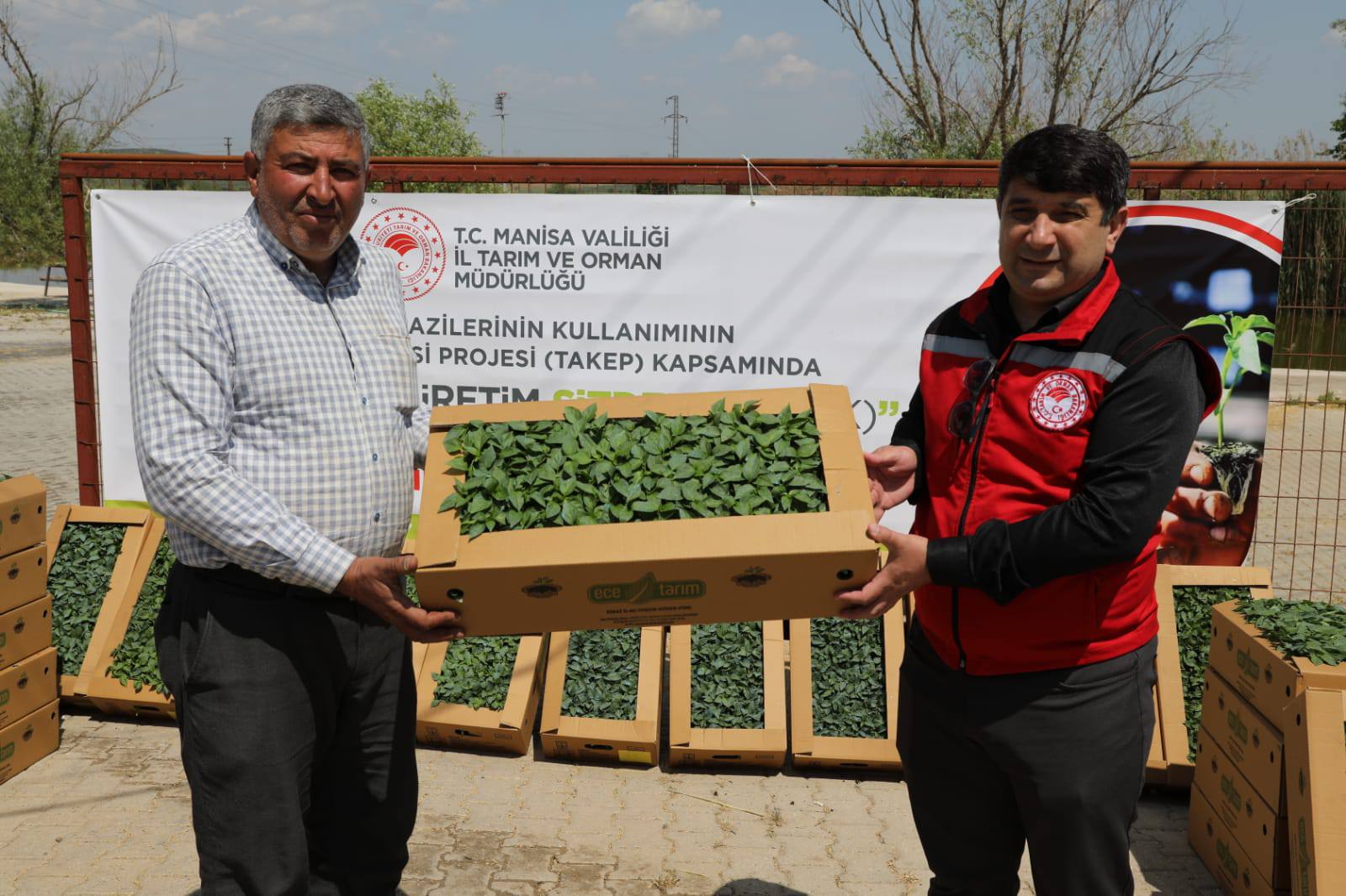 Sarıgöl’de Feromon tuzak dağıtımı yapıldı