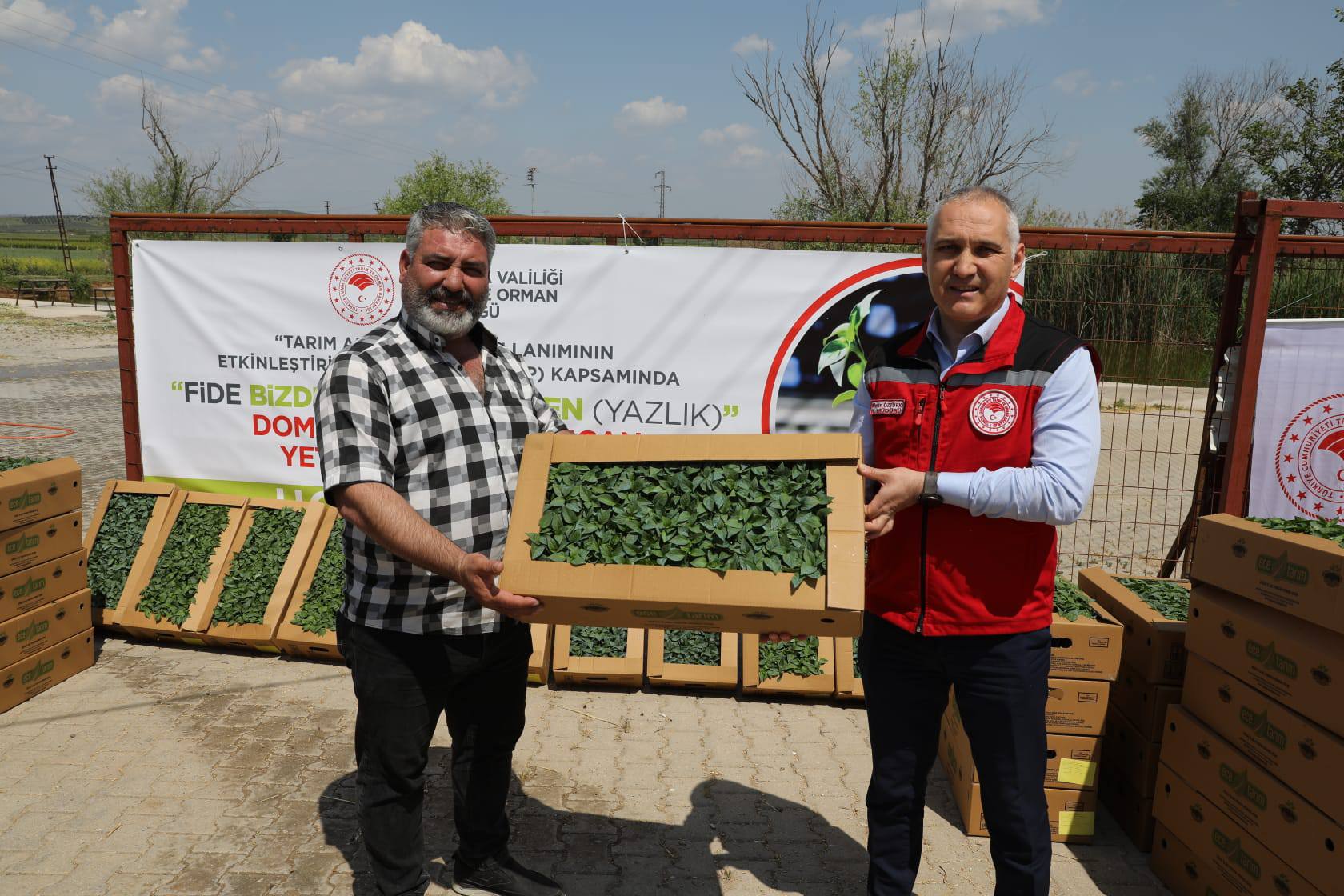 Sarıgöl’de Feromon tuzak dağıtımı yapıldı