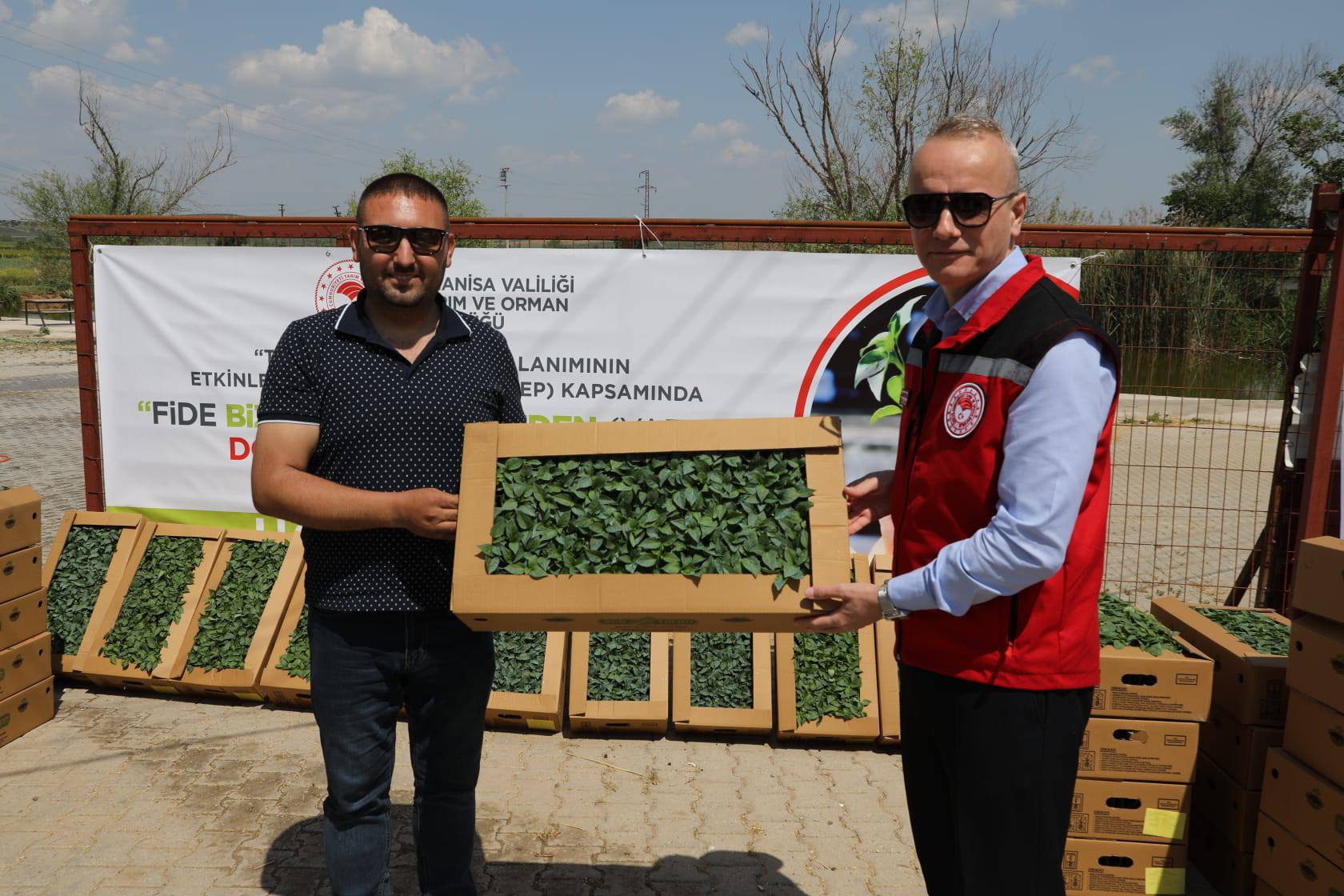 Sarıgöl’de Feromon tuzak dağıtımı yapıldı