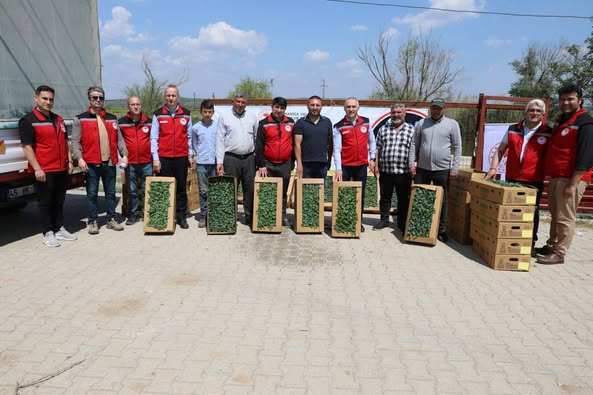 Sarıgöl’de Feromon tuzak dağıtımı yapıldı