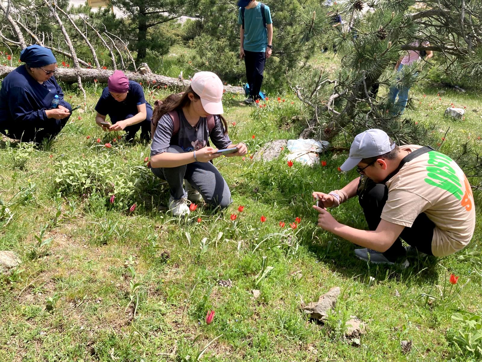 Turgutlulu öğrenciler o laleleri yerinde fotoğraflamak için Spil’e akın etti