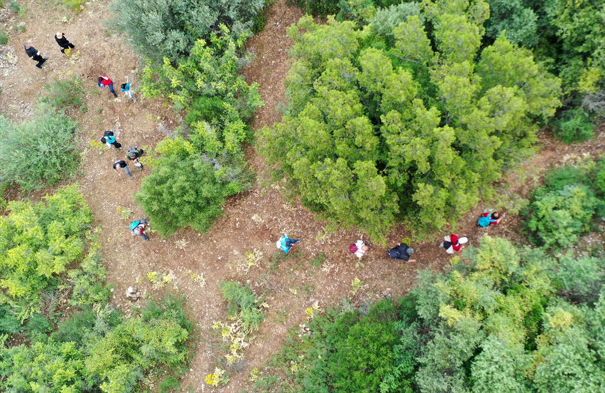 Anemon Yolu Doğa Yürüyüşçüleri ve Tarih Meraklılarını Bekliyor