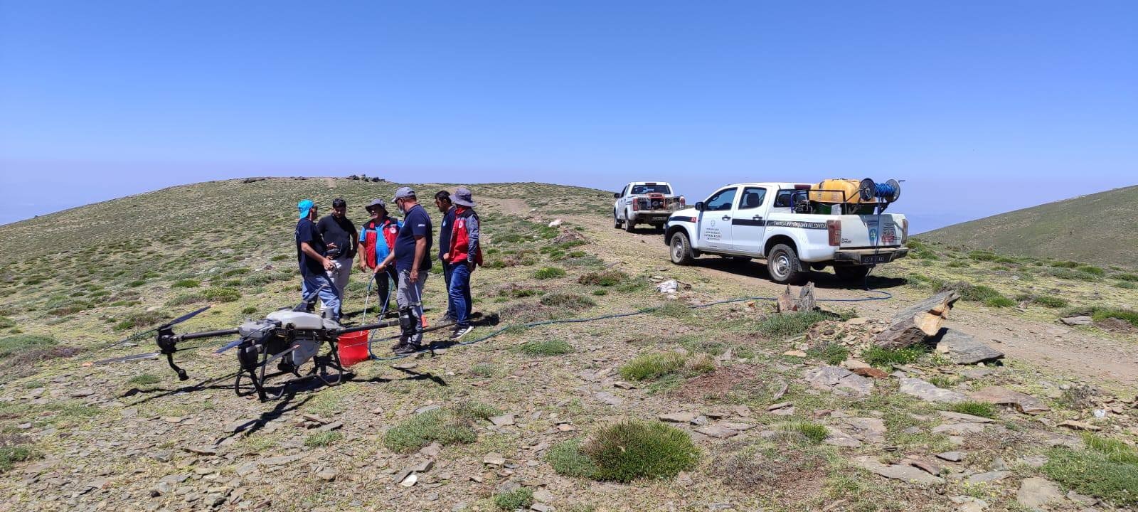 Manisa'da tarım arazilerinde çekirge alarmı! Drone ile ilaçlama yapıldı