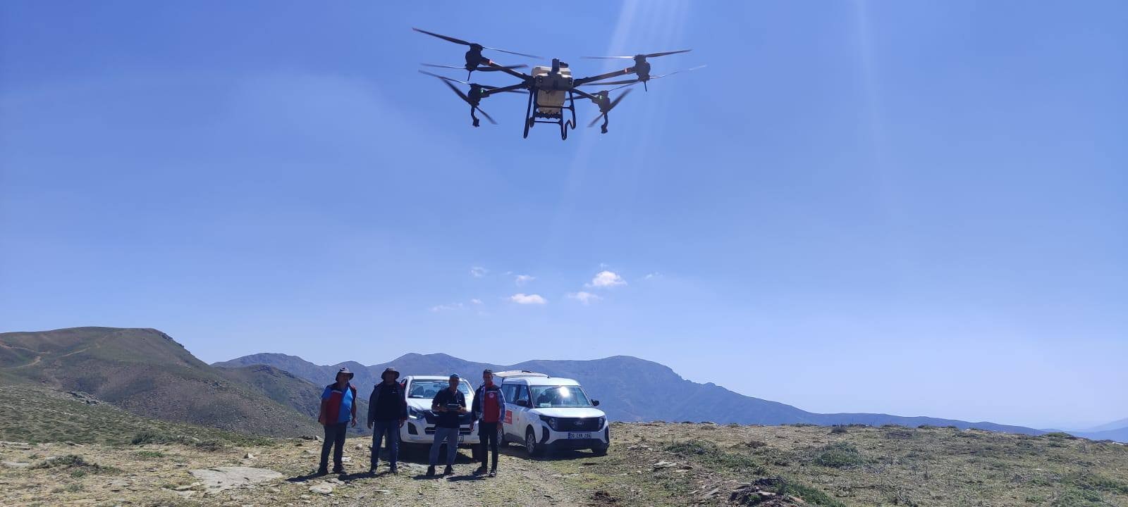 Manisa'da tarım arazilerinde çekirge alarmı! Drone ile ilaçlama yapıldı