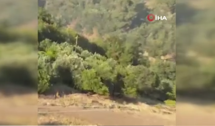 Manisa'da çıkan yangınlar kontrol altına alındı