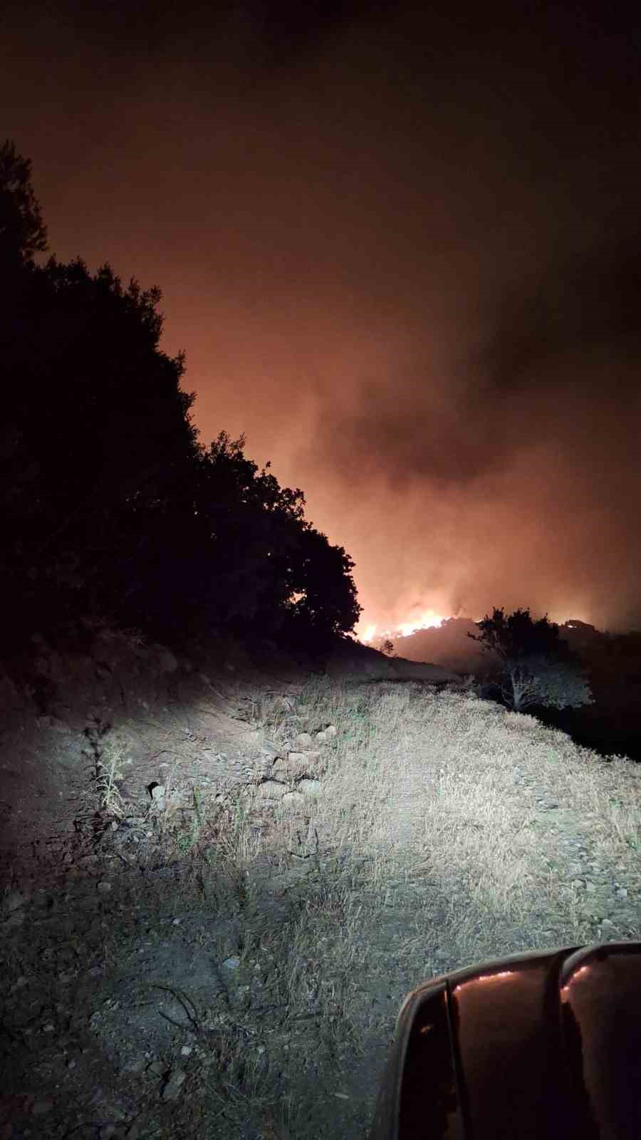 Türkiye Yanıyor: Birçok İlde Orman Yangınları Devam Ediyor