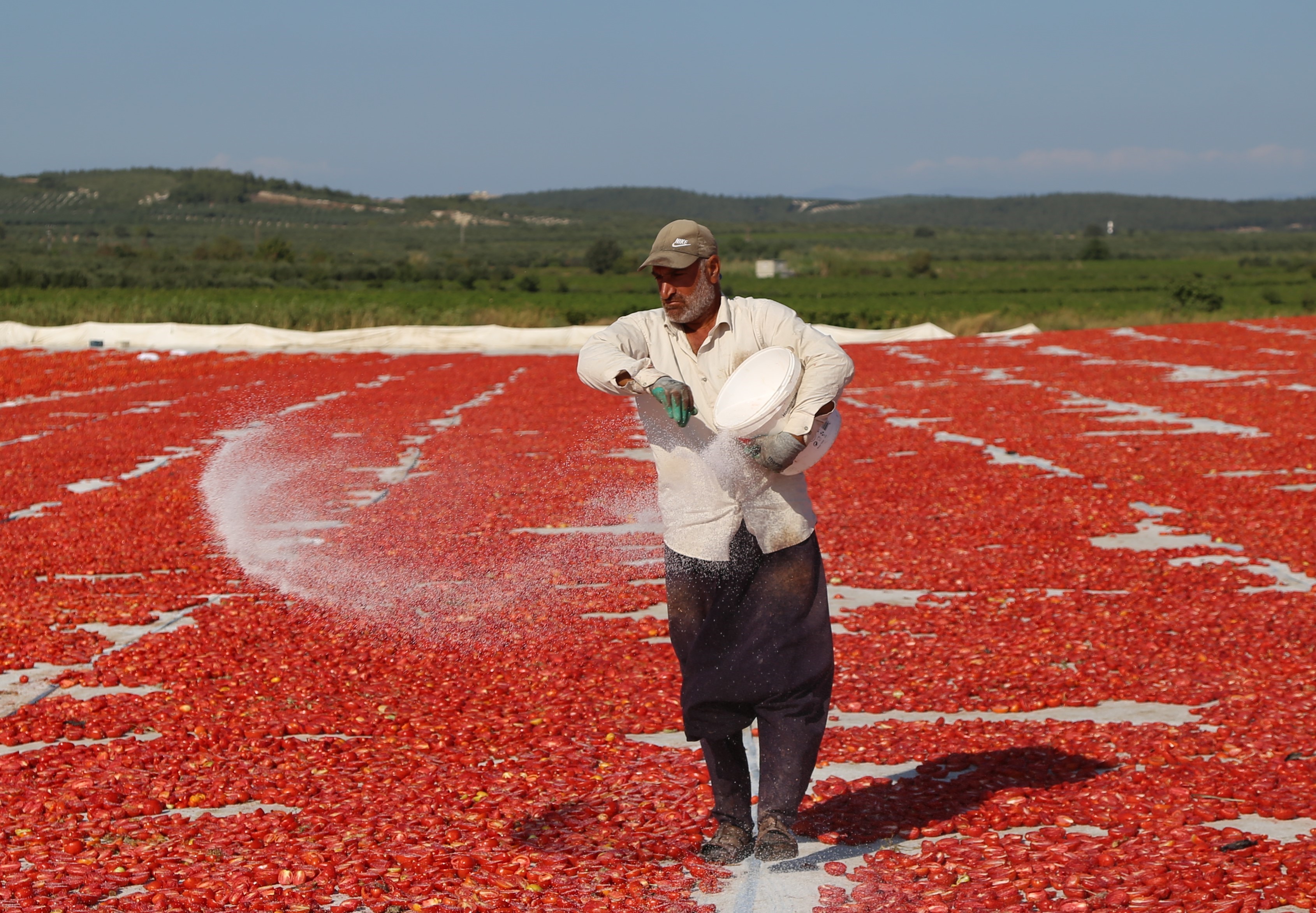 Saruhanlı kırmızıya büründü