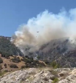 Denizli’de Başlayan Yangın Aydın’ın Mahallelerine Ulaştı