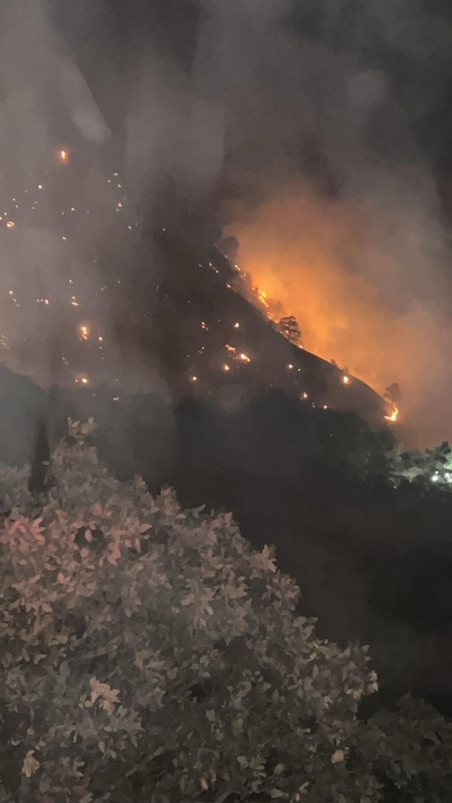 Denizli’de Başlayan Yangın Aydın’ın Mahallelerine Ulaştı