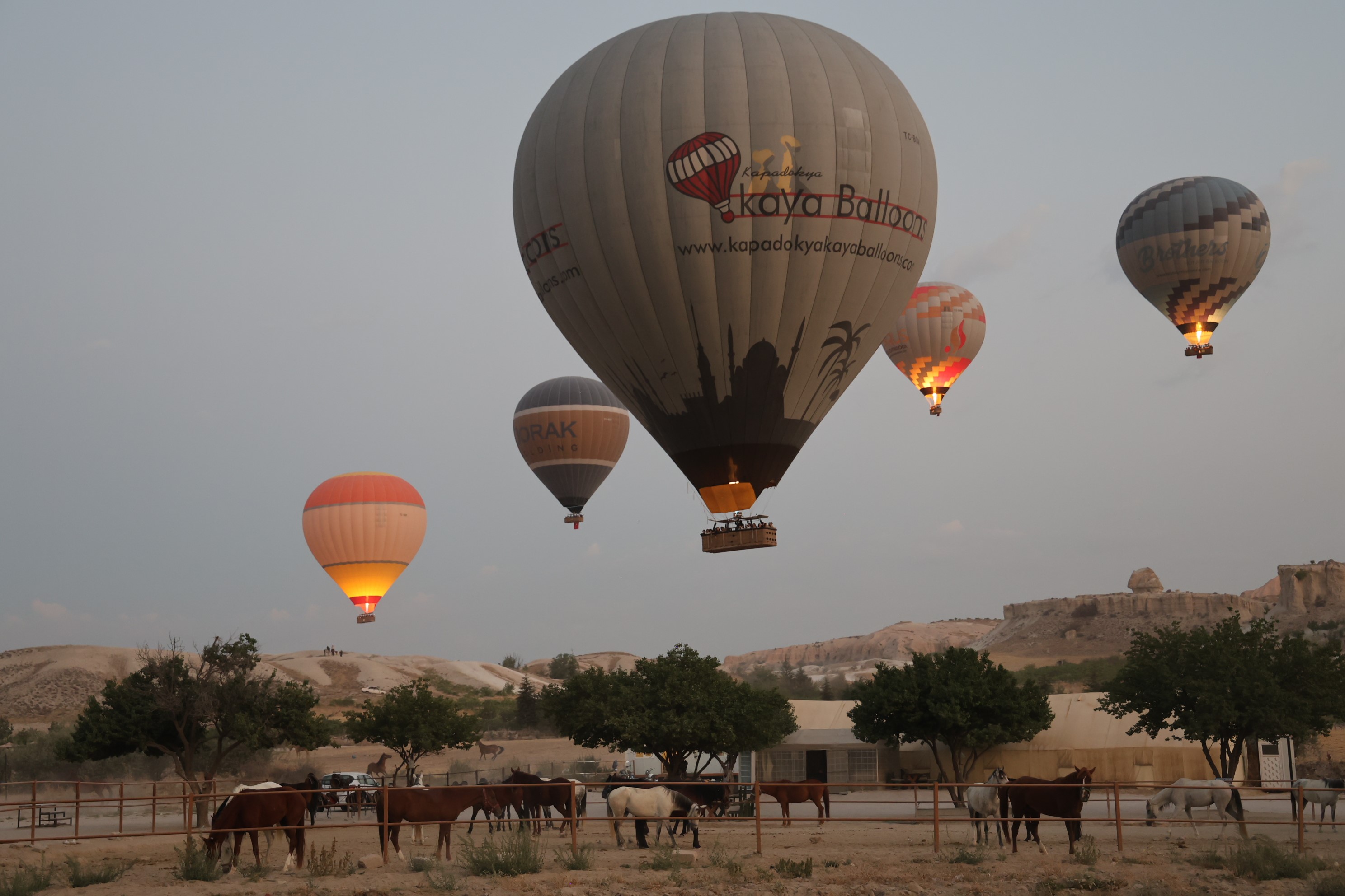 Sıcak hava balonları 30 Ağustos Zafer Bayramı için havalandı