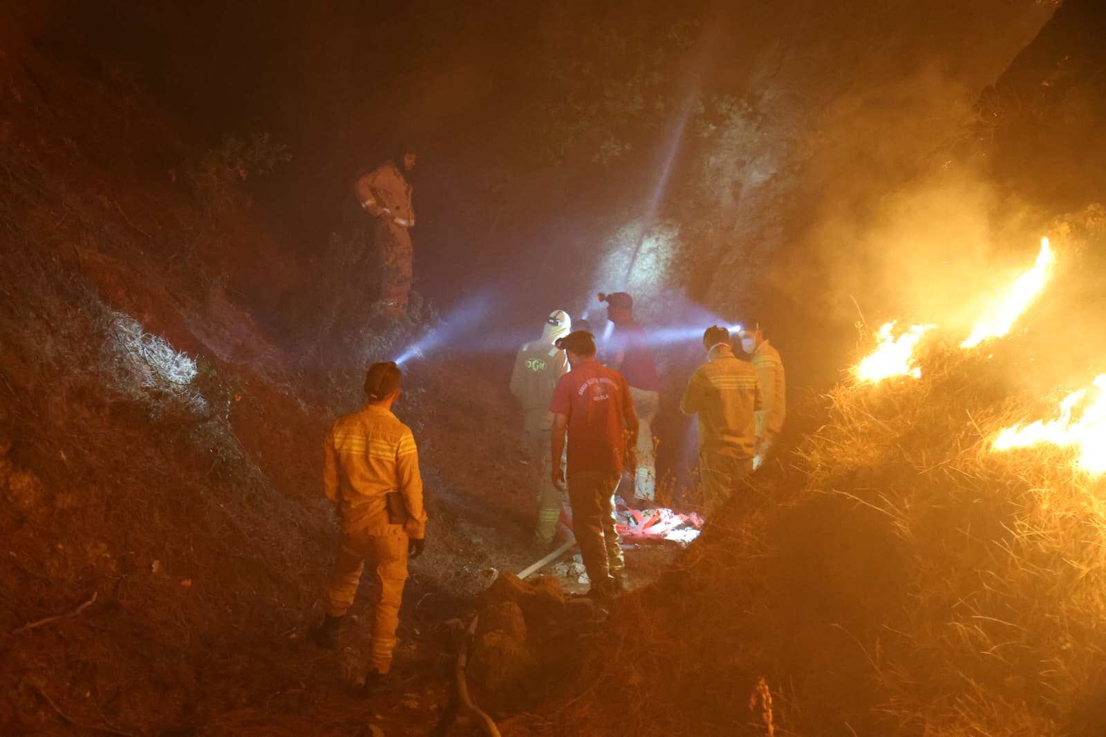 Denizli’de Başlayan Yangın Aydın’ın Mahallelerine Ulaştı