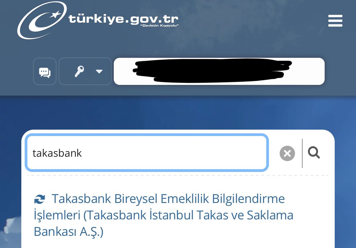 Birikmiş Paranızı E-Devlet'ten sorgulayın!