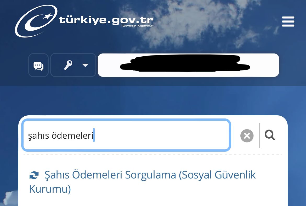 Birikmiş Paranızı E-Devlet'ten sorgulayın!