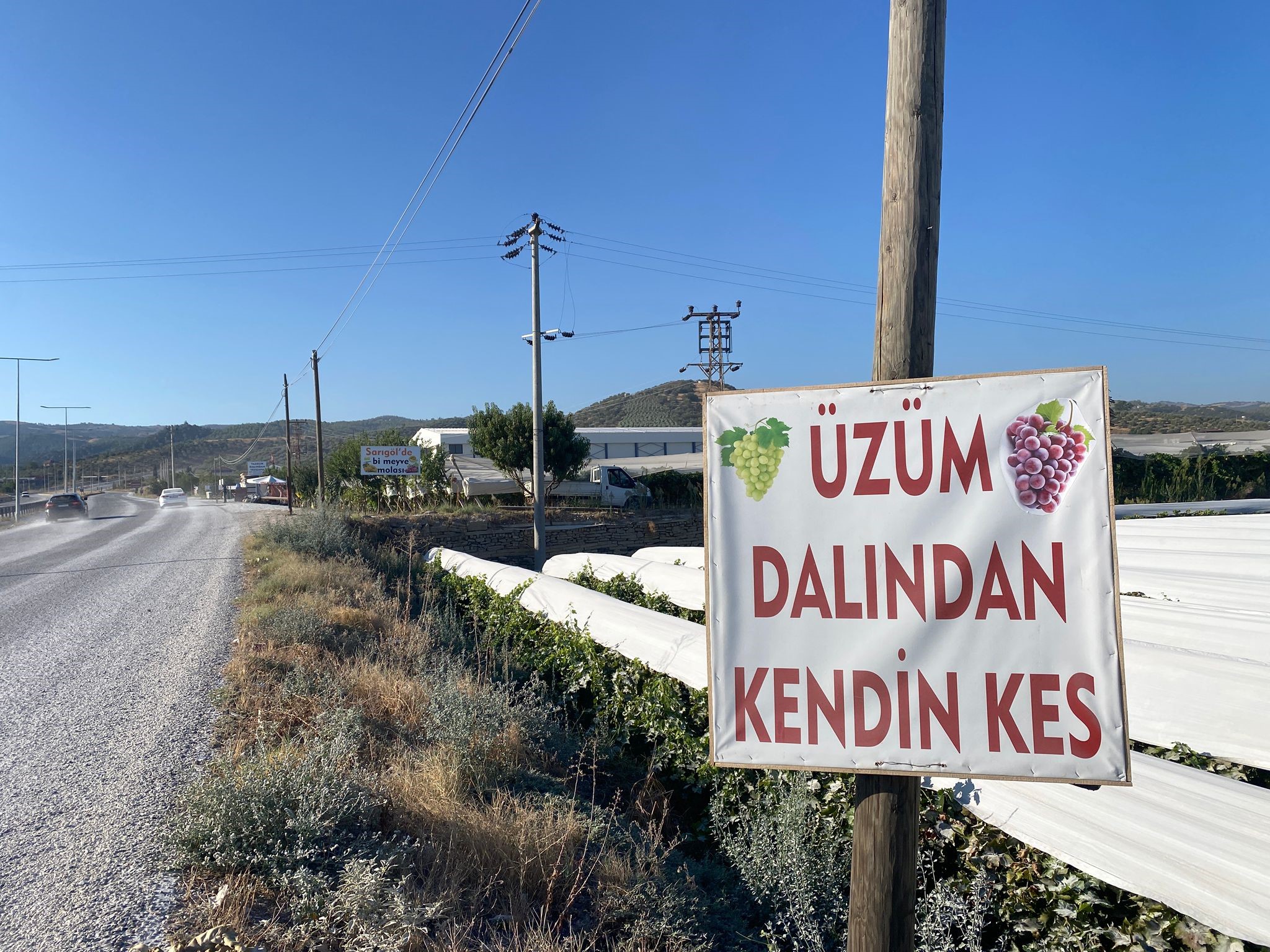 Sarıgöl'de meyve molası: Dalından kesip satın alıyorlar!