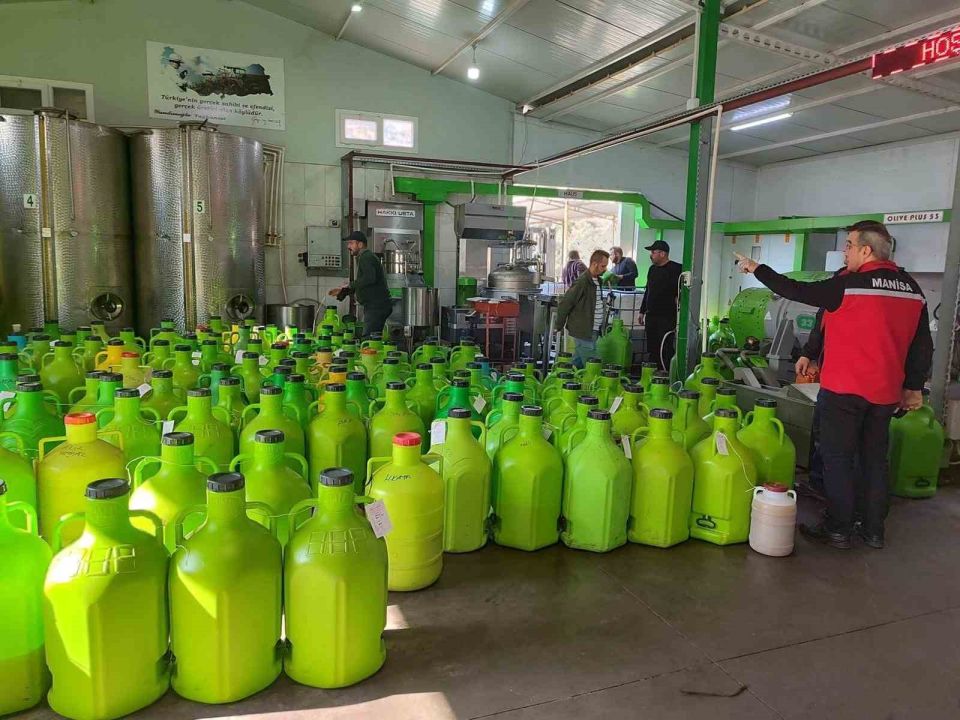Sezon açıldı denetimler başladı: Zeytinyağı üretim tesislerine denetim