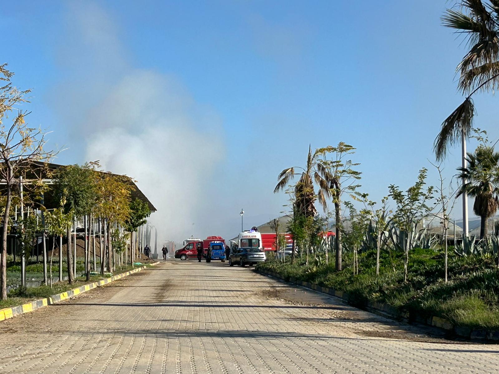 Serada çıkan yangın söndürüldü