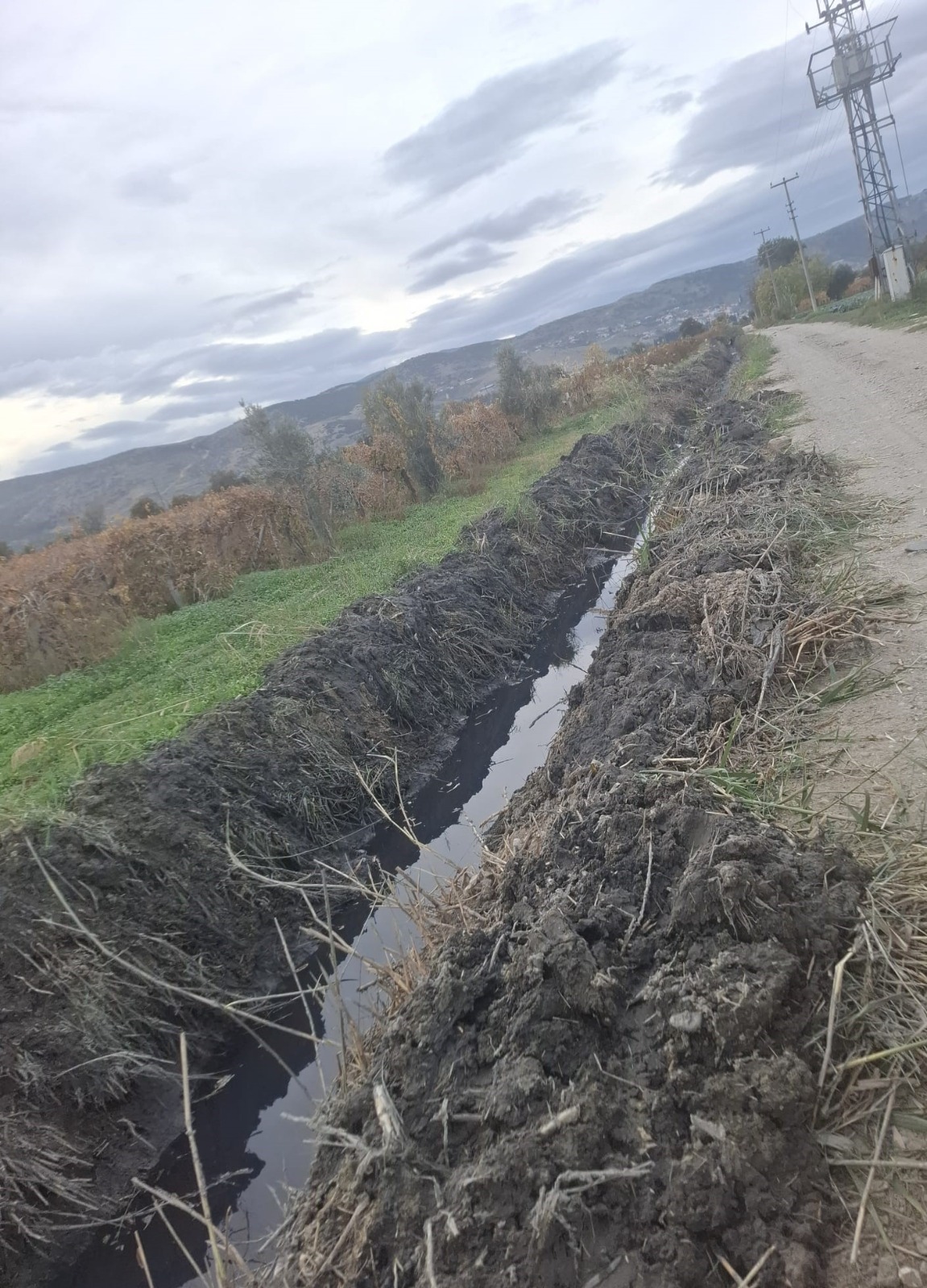 Manisa'da Tarım Arazileri Taşkınlara Karşı Korunuyor