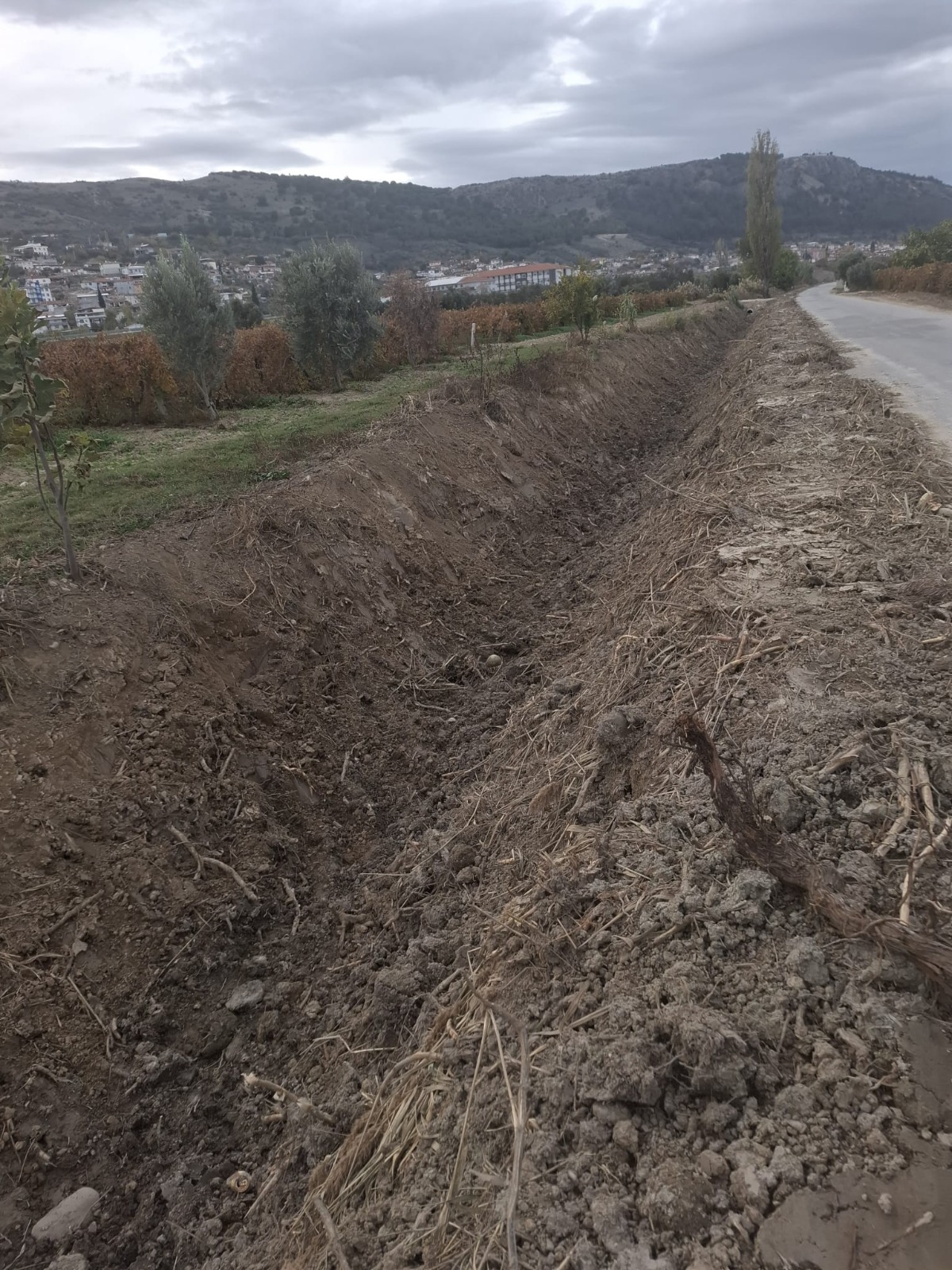 Manisa'da Tarım Arazileri Taşkınlara Karşı Korunuyor