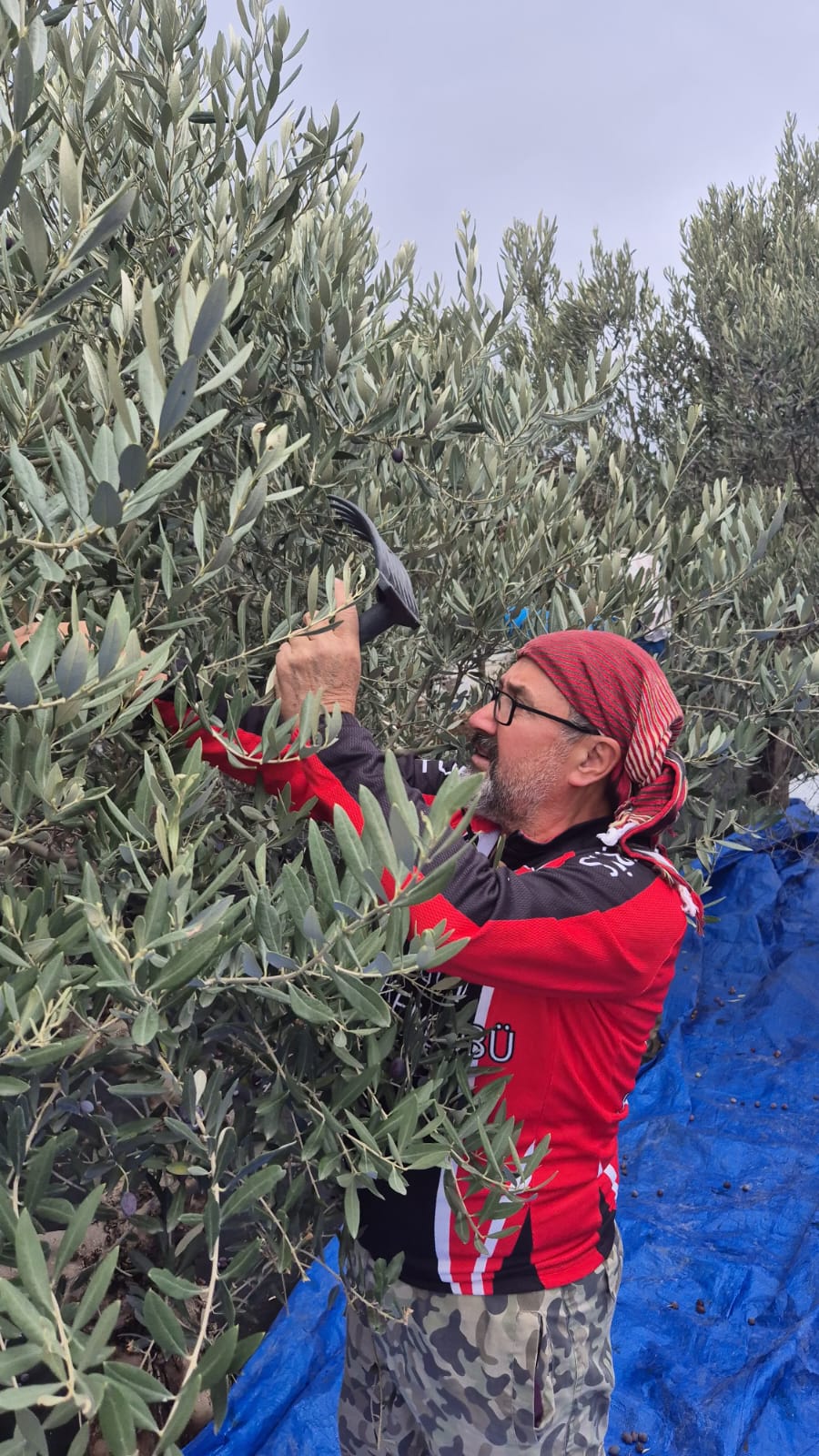 Zeytin Hasadı Umut Oldu: TURDAK, Hatay’da Depremzedelerle Buluştu