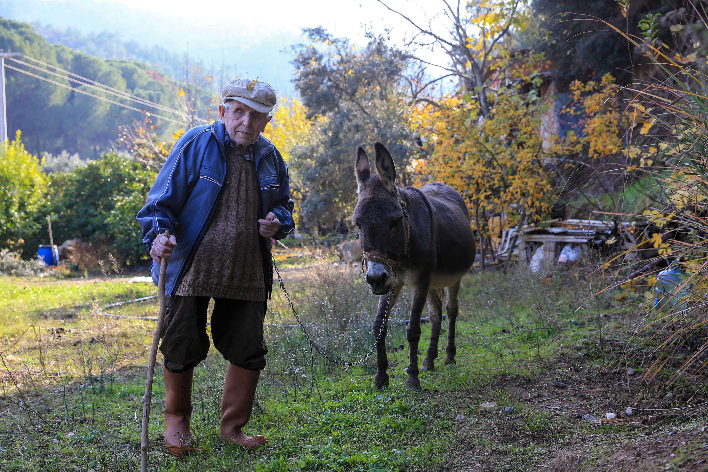 Görme Engelli Raif Amca, 24 Yıldır Eşeği “Magare” ile Yol Alıyor