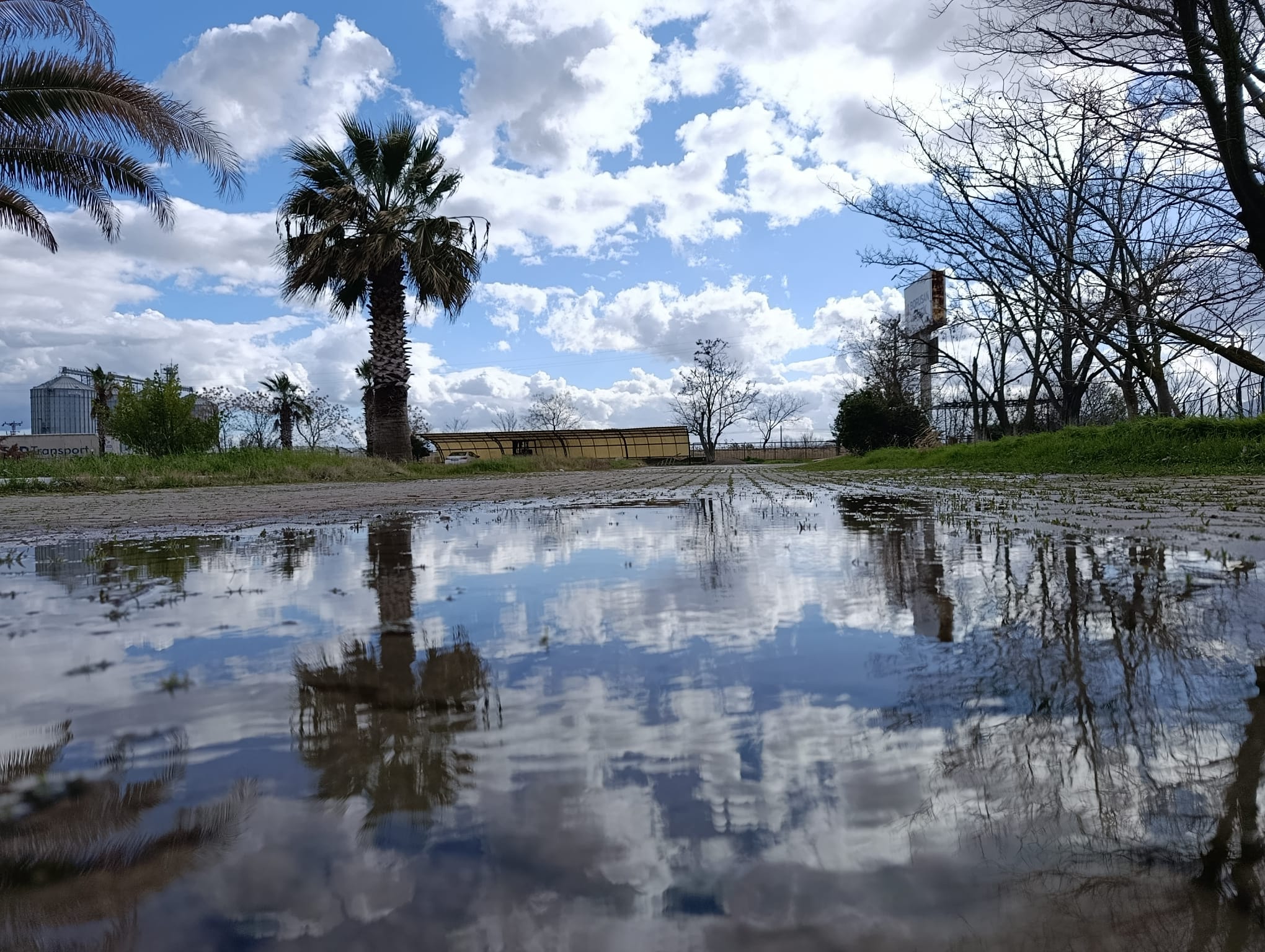 Yağmurun Ardından Manisa’da Kartpostallık Manzaralar
