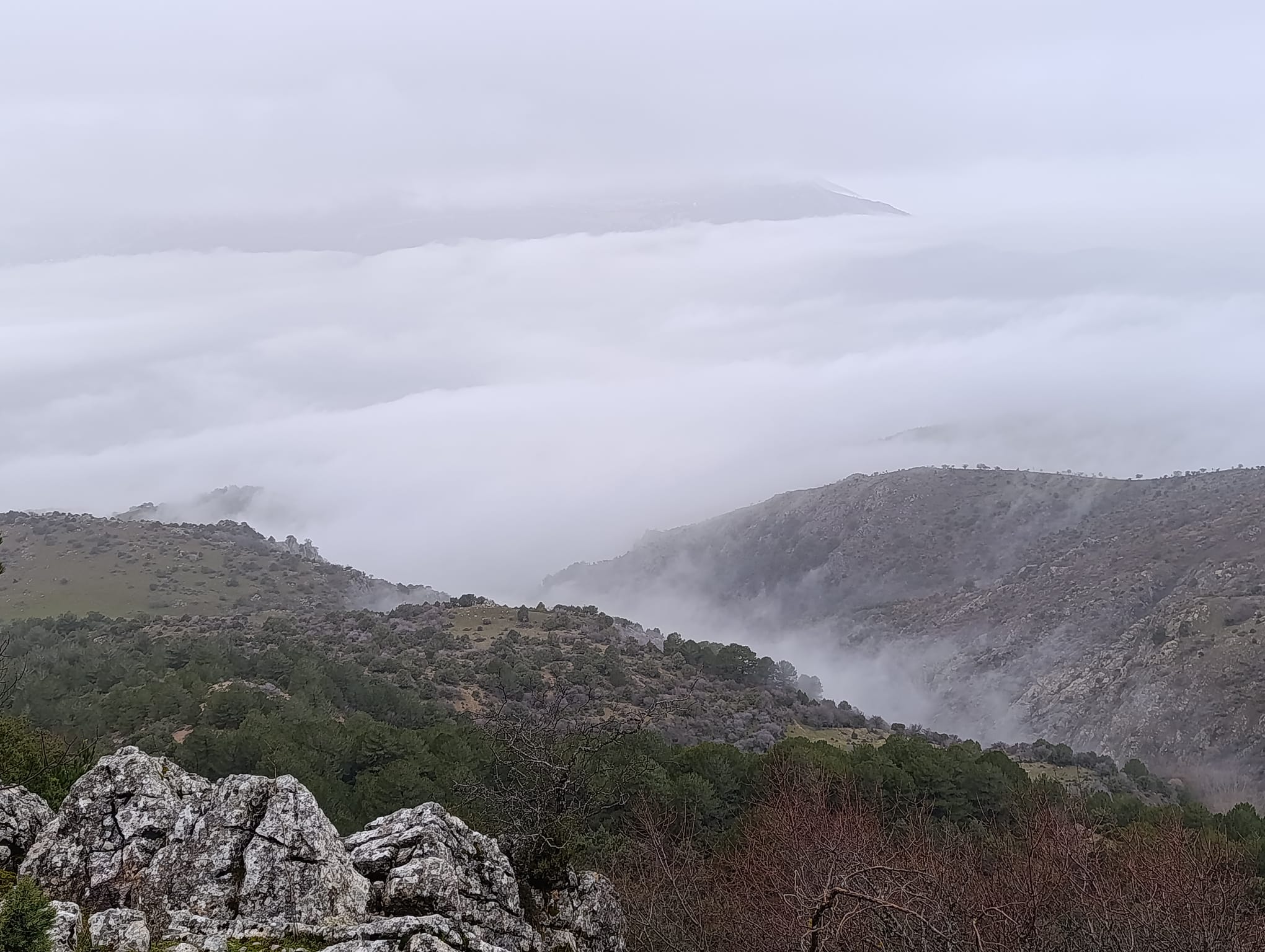 Yağmurun Ardından Manisa’da Kartpostallık Manzaralar