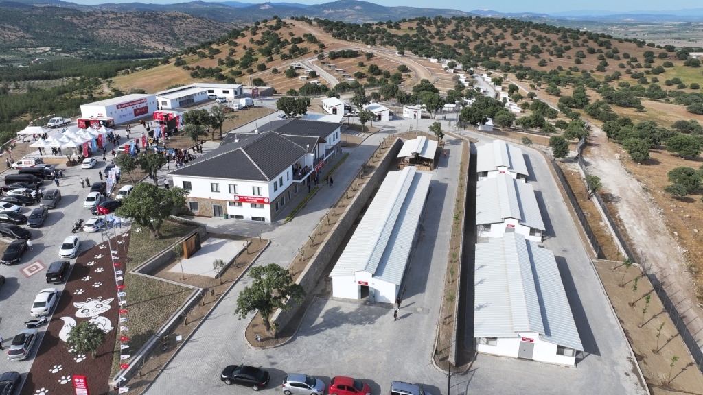 Manisa’daki Tartışmalı Barınak Kapatılacak