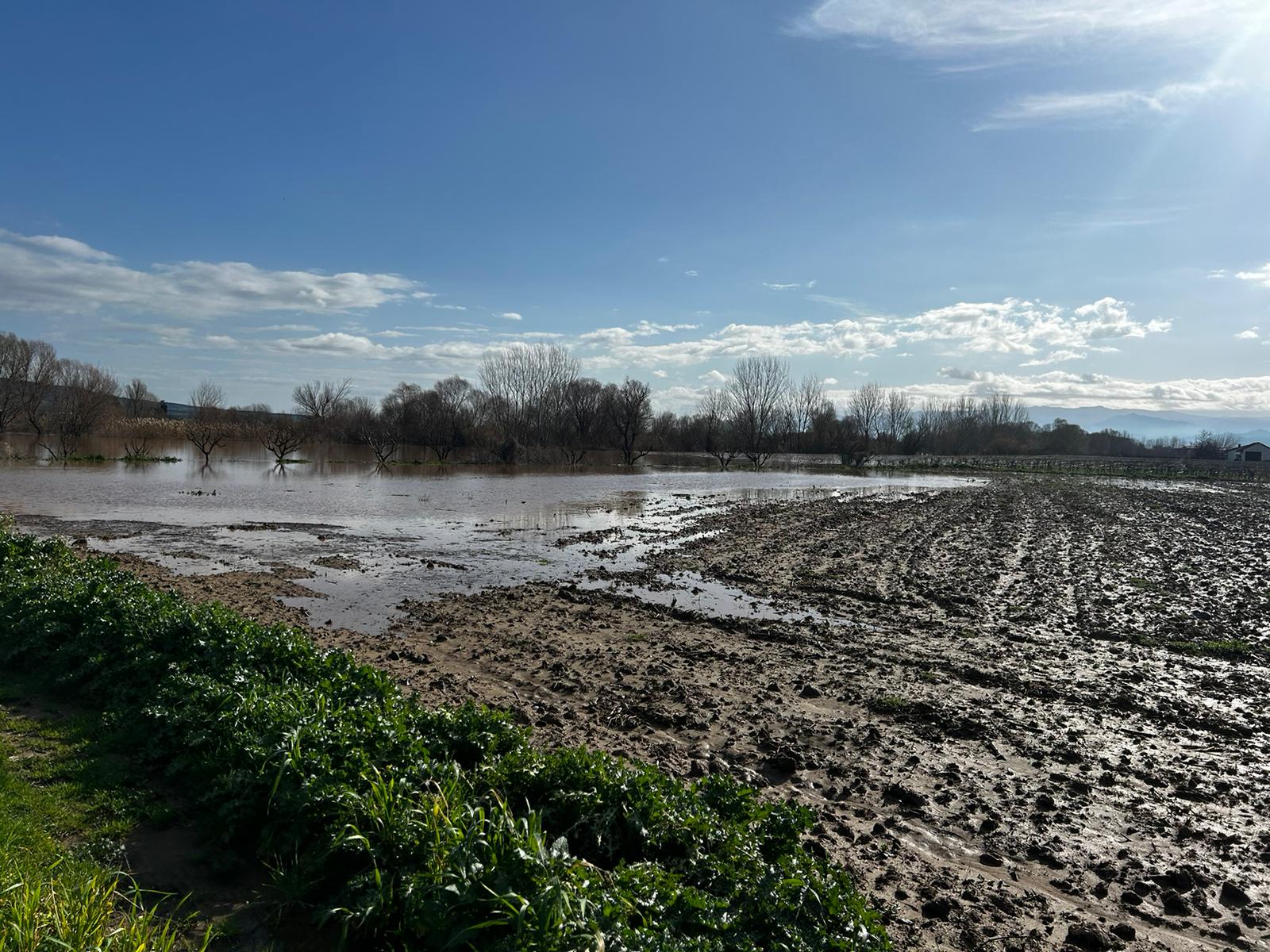 Turgutlu'da yaşandı! Gediz Nehri taştı, yollar kapandı, bina, istinat duvarı çöktü
