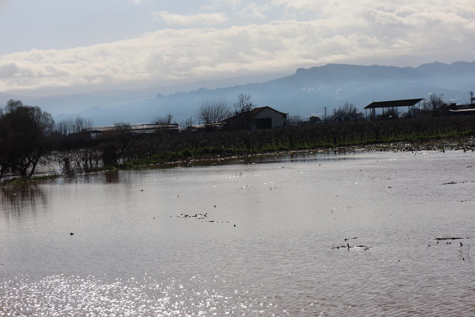 Turgutlu'da yaşandı! Gediz Nehri taştı, yollar kapandı, bina, istinat duvarı çöktü
