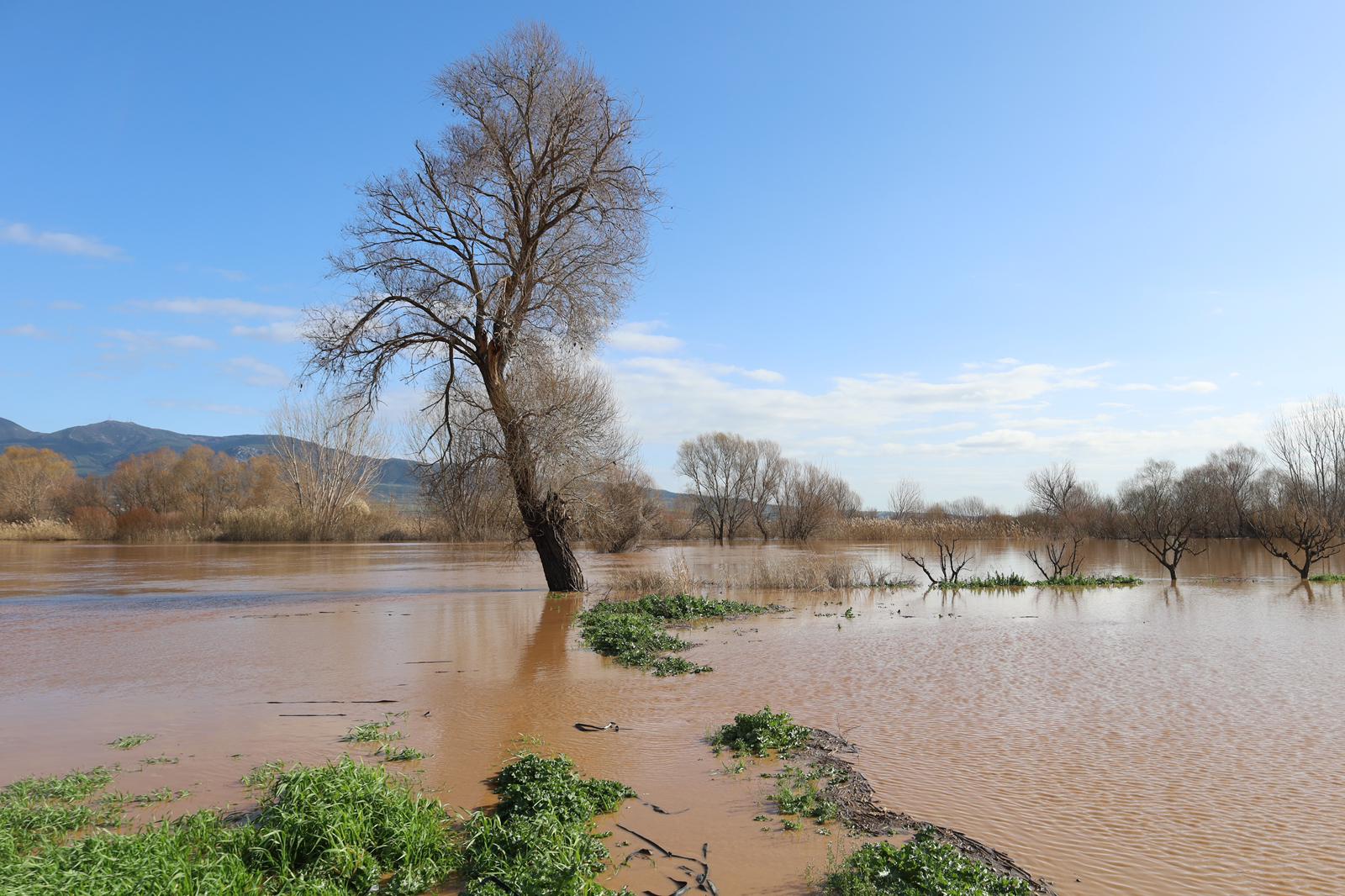 Turgutlu'da yaşandı! Gediz Nehri taştı, yollar kapandı, bina, istinat duvarı çöktü