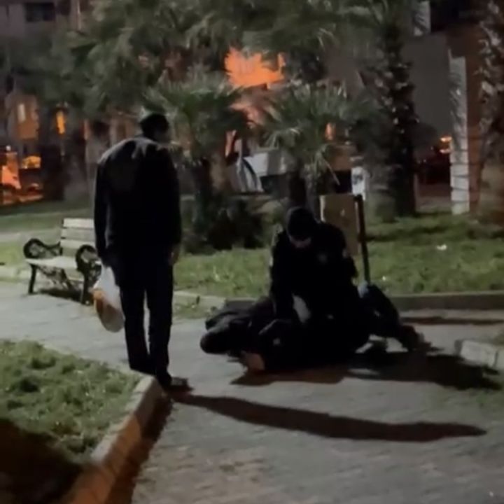 Parkta taşkınlık çıkardılar, görevli bekçilere direndiler!