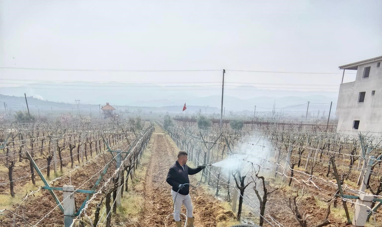 Manisa'da ölü kol hastalığıyla mücadele başladı