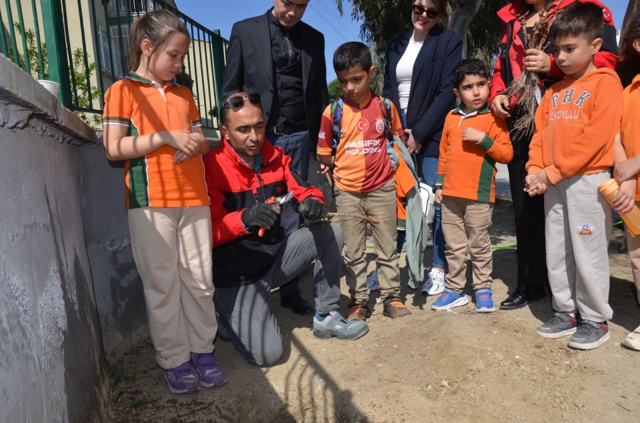 Manisa’da çocuklar okul bahçesinde üzüm yetiştirecek