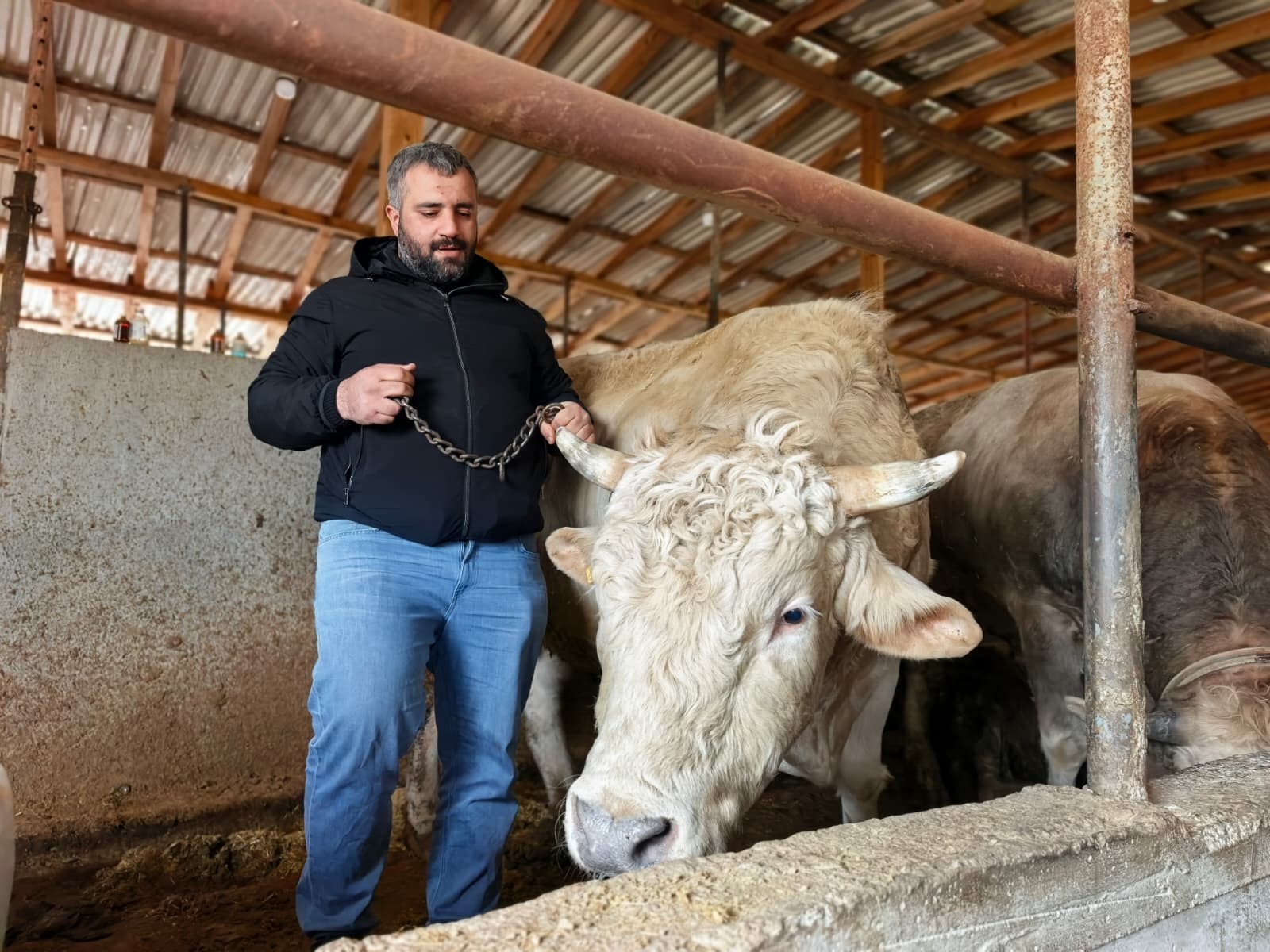1 Tonluk ‘Paşa’ Yarım Milyon Lira