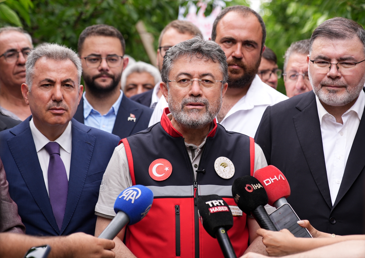 Kemalpaşa'da kiraz hasadı etkinliği