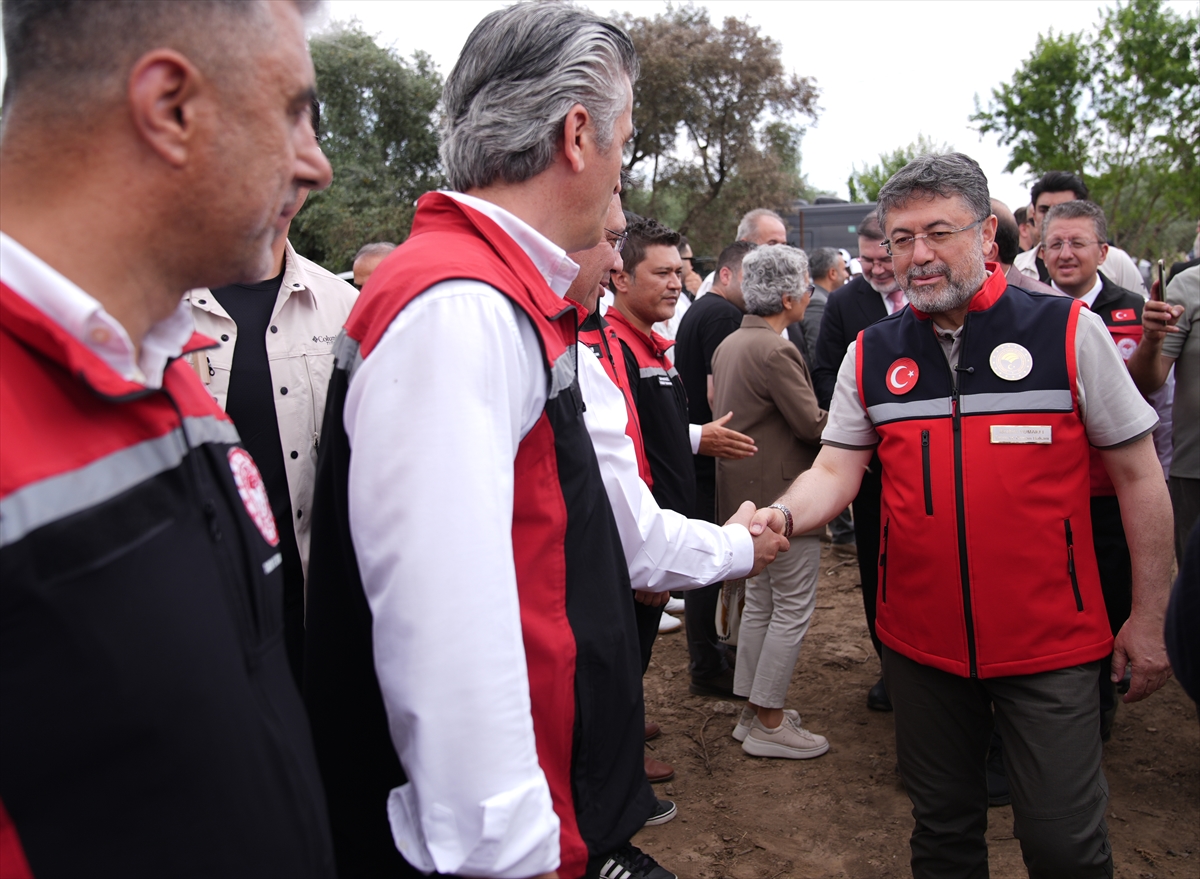 Kemalpaşa'da kiraz hasadı etkinliği