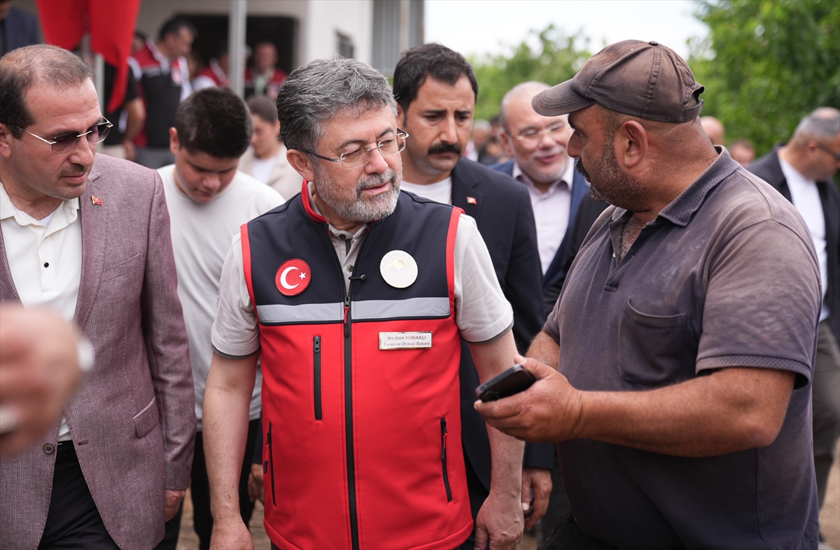 Kemalpaşa'da kiraz hasadı etkinliği