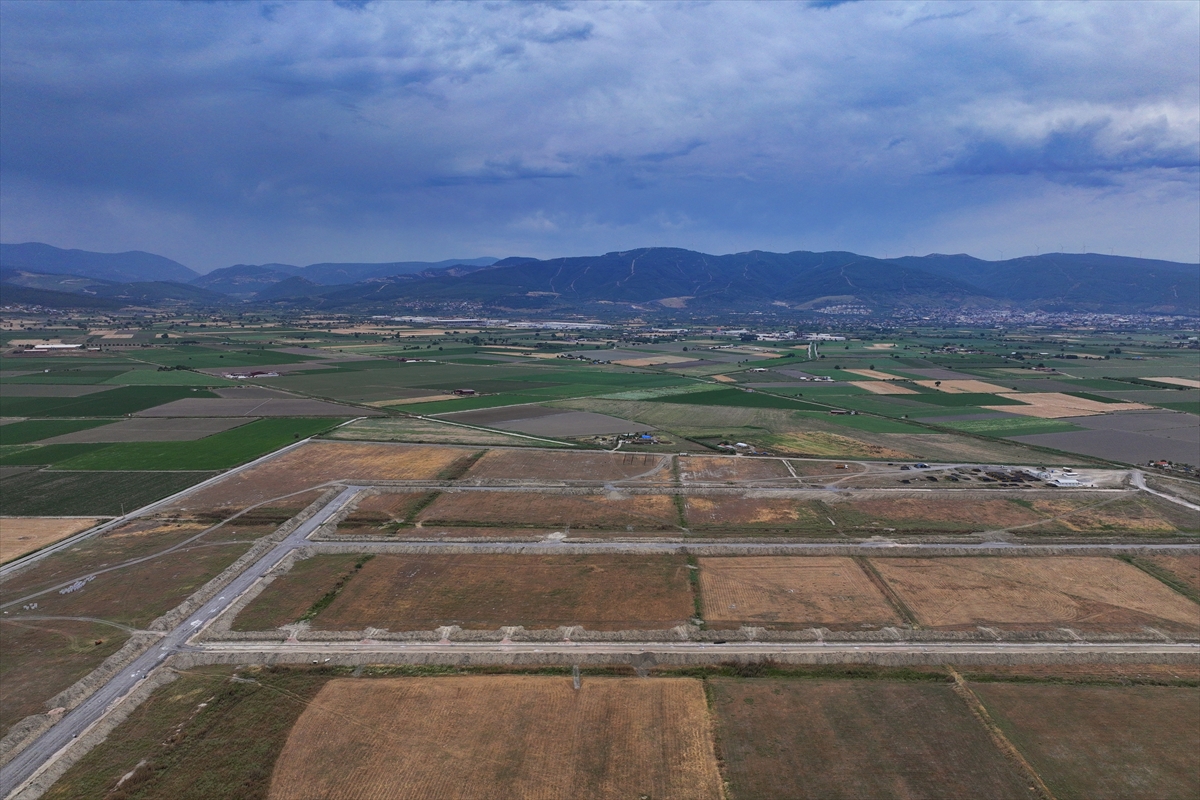Türkiye'nin tıbbi ve aromatik bitkilerde "ilk" ihtisas OSB'si 2027'de üretime geçecek