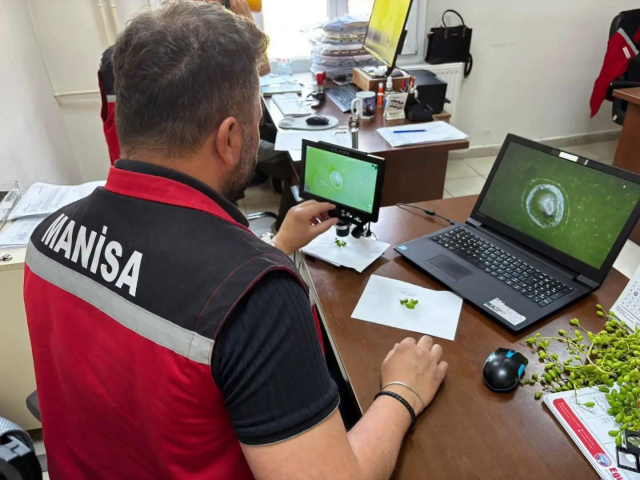 102 İstasyondan Anlık Takip! Manisa'da üreticiye erken uyarı sistemi