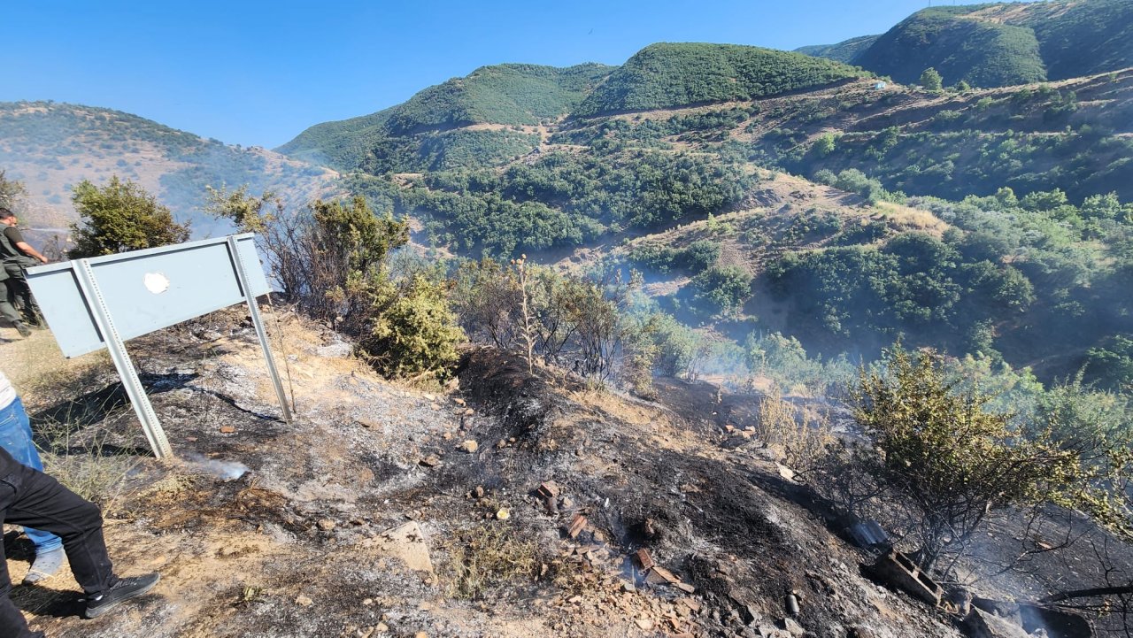Turgutlu'da Ormanlık Alanda Çıkan Yangın Evlere Ulaşmadan Söndürüldü